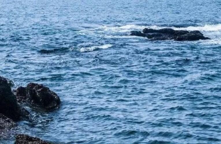 有海字的个性签名