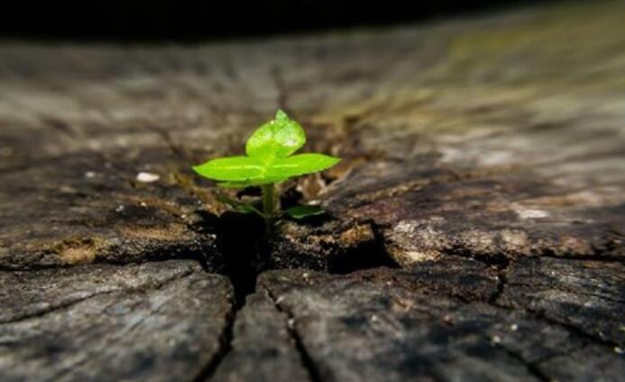 深夜语录文案经典语录文案励志