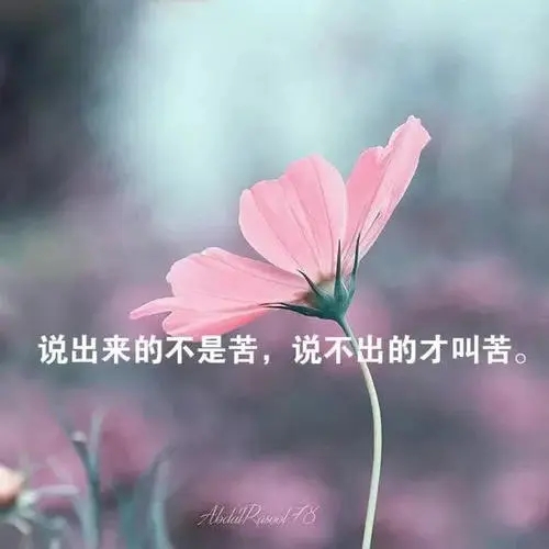 经典生活感悟短句