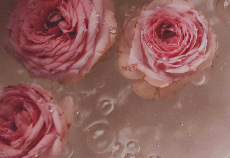 正能量的工作句子文案经典语句