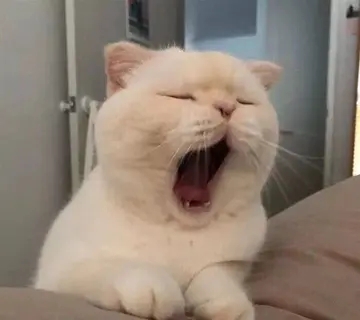 正能量凌晨睡不着的说说文案