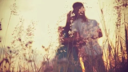 最唯美的古代爱情诗句文案