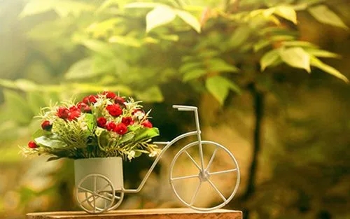 描写快乐的句子文案