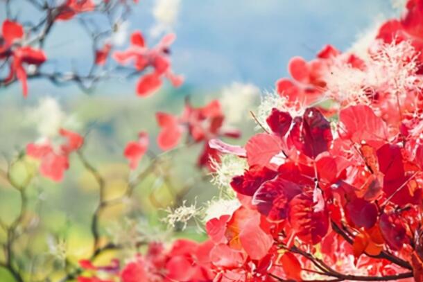 晚上说说文案心情短语