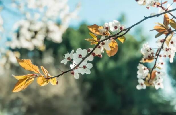 励志心灵鸡汤文章600字原创