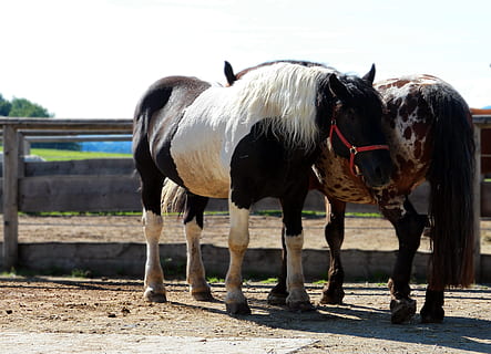 抒发亲情的句子文案