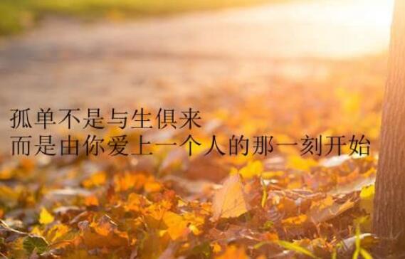 唯美句子文案短句爱情森林