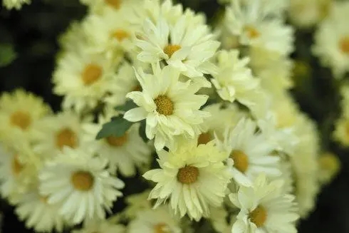 想念过世姥姥的句子文案