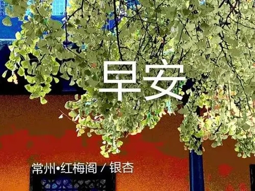 早安问候编辑_美篇