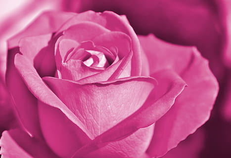 忘不了深爱的人的句子文案