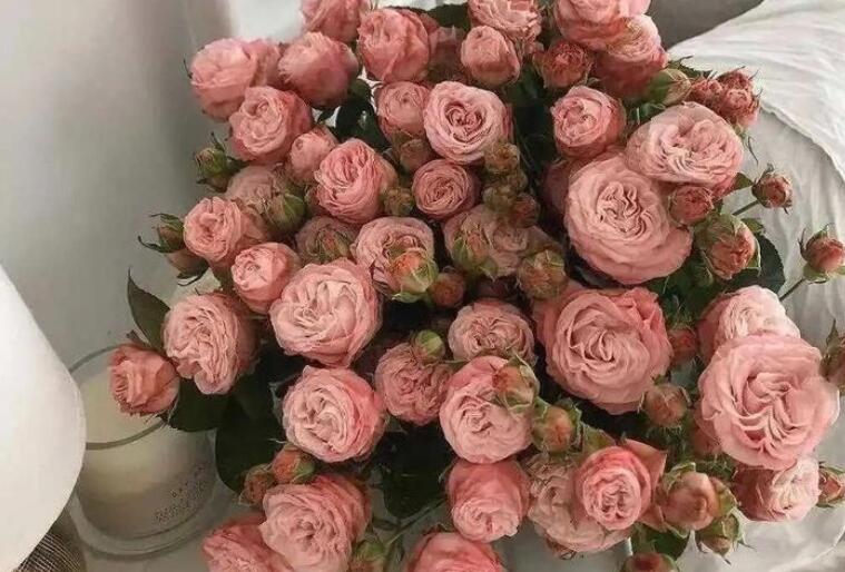 表示我很喜欢你的说说文案