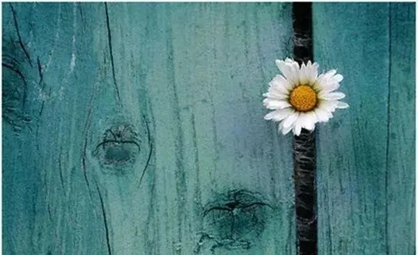 经典霸气人生感悟短语