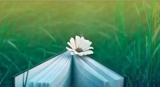 不再年轻的自己的感言