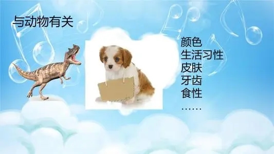 介绍一种事物小练笔50字