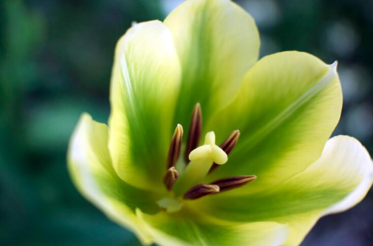 踏春朋友圈配文