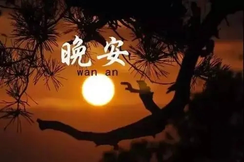 女人睡前晚安一句话正能量