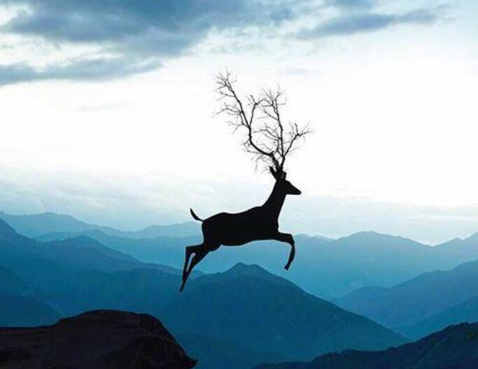 表示心累的句子文案致自己