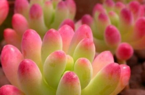 病痛煎熬的心情句子文案