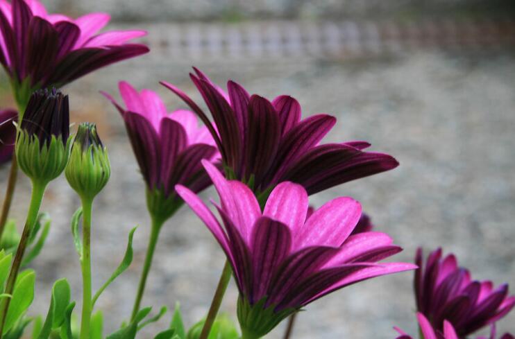 描写放松心情的句子文案