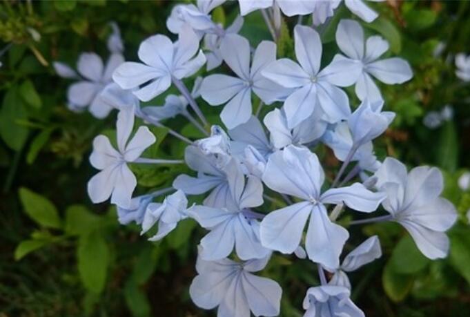 成长优美语段摘抄大全