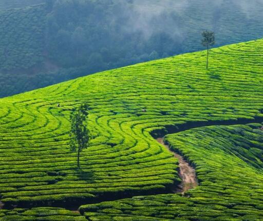关于世界地球日的短诗歌