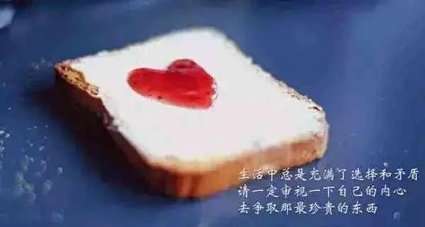 没有味道的生活句子文案