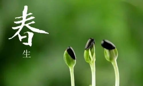 关于植物的短句