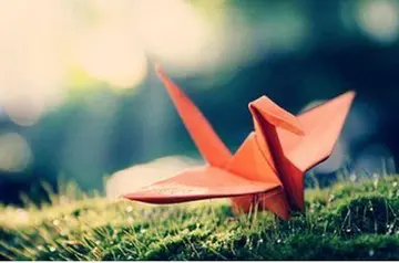 思念死去姐姐的短句