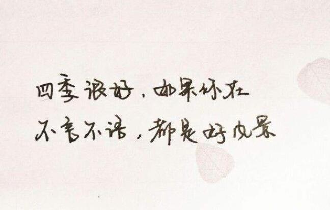 情话文案短句8字