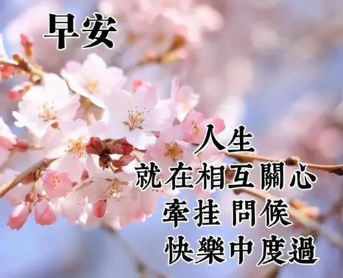 微信温馨早安问候语