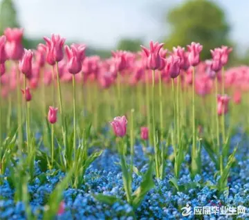 欣赏美景的句子文案