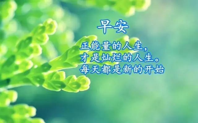 今天早安最新的早安句子文案