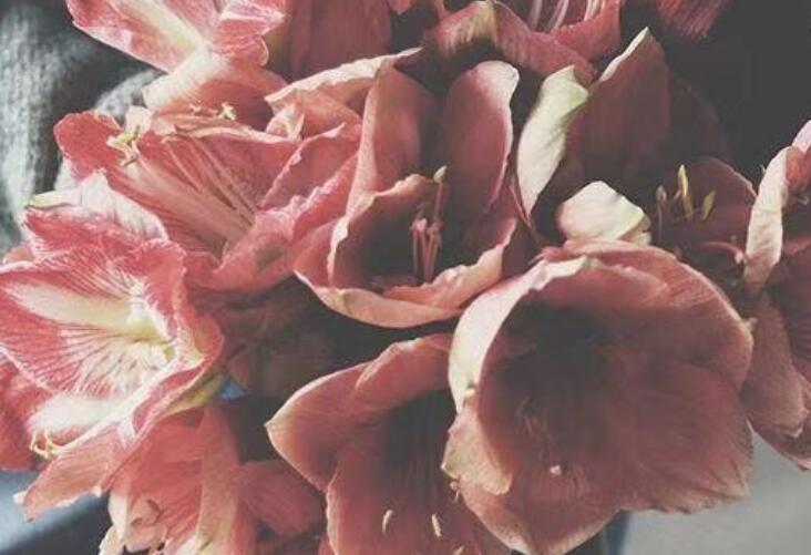 半夜失眠的心情句子文案