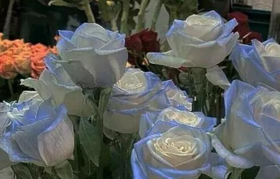 表达心情处于崩溃状态的句子文案