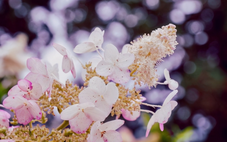 给自己的一些简短句子文案