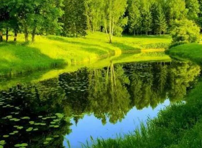 关于环保的优美句子文案