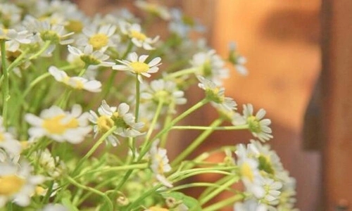 抖音很走心的一段话