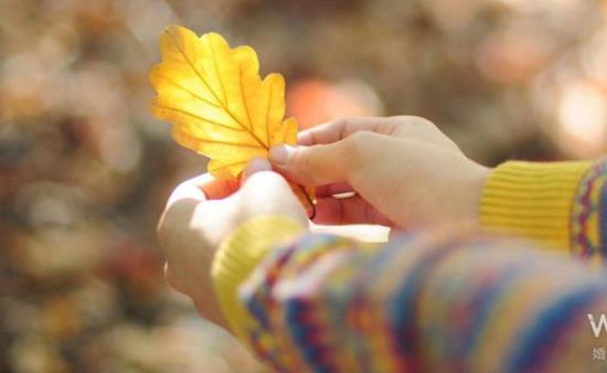 表示永远相爱的句子文案