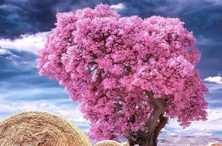 一句话正能量经典语录文案