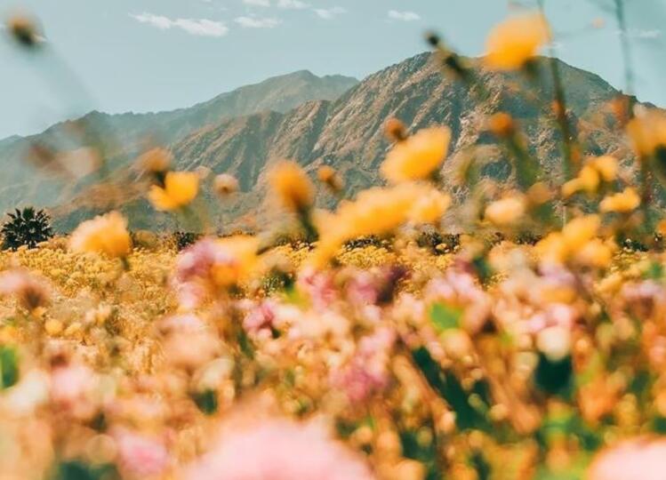 睡前发朋友圈的文案