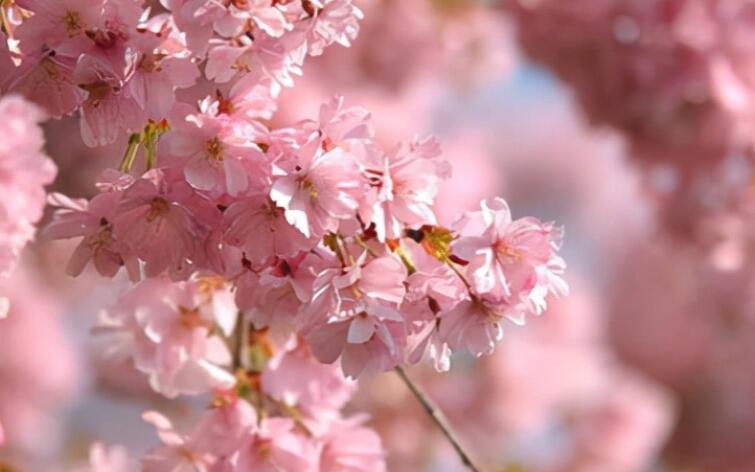 含深刻道理的句子文案