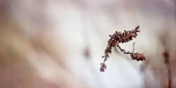委婉的分手句子文案