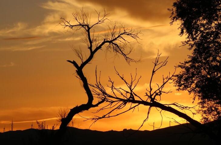 风景感悟唯美句子文案大全