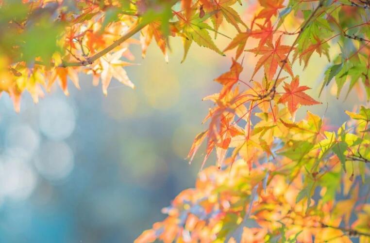 形容九月优美诗句文案