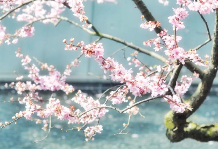 关于颜色的优美句子文案摘抄简短