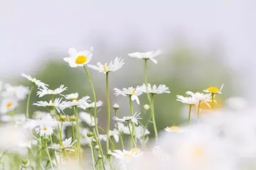 多练的名言名句文案