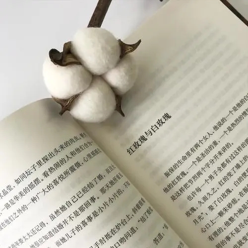 张爱玲爱情经典语录文案玫瑰