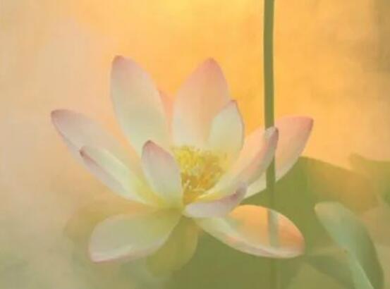 100字人生感悟好句文案