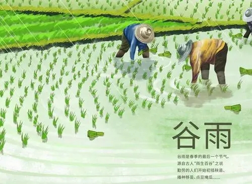 谷雨这首古诗