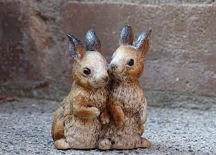 一次次被忽略的句子文案